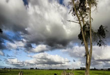 国足最新比赛赛程表都有哪些安排？